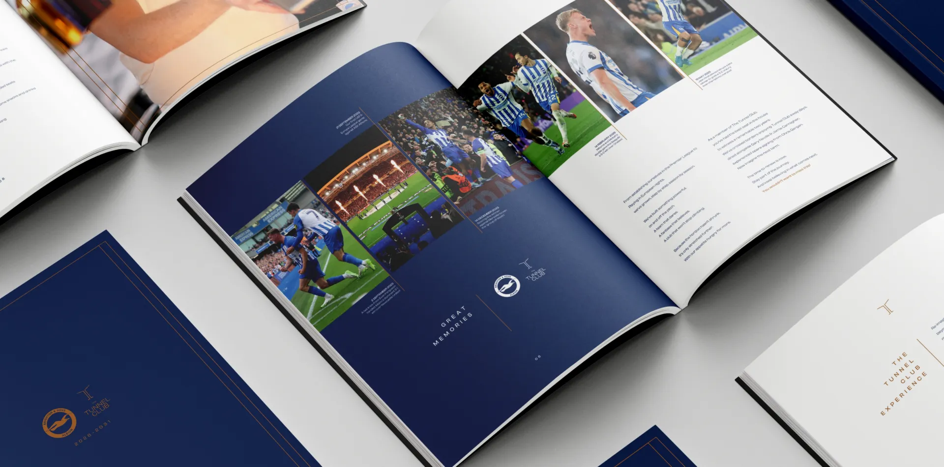 brighton & hove albion tunnel club brochure