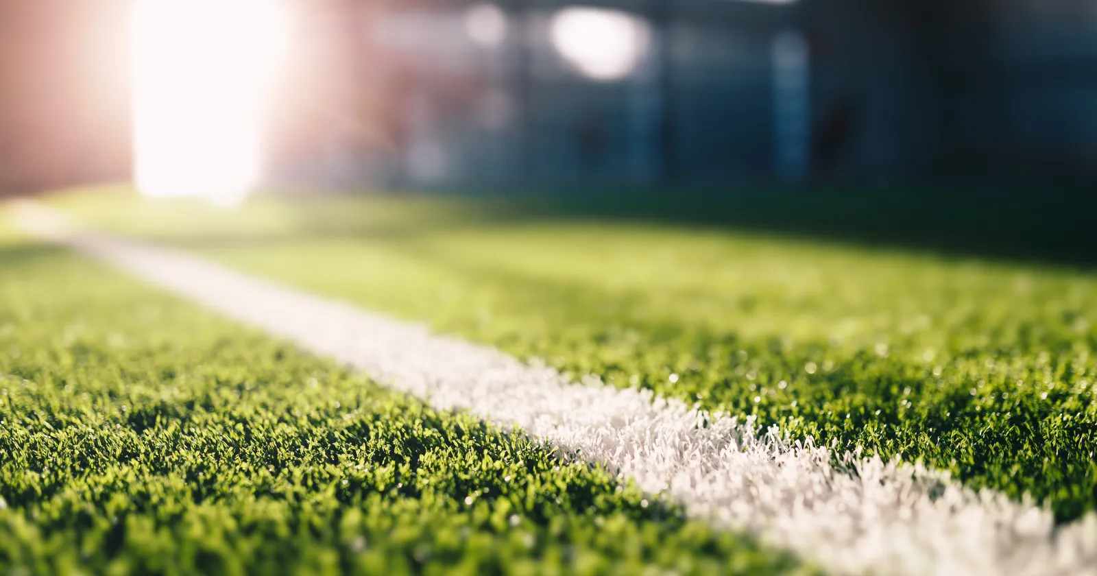 ICP | Modern Sports Search